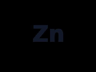 Zinc Plate Electrodes thumbnail 1