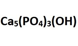Hydroxyapatite Nanoparticles (Ca5(PO4)3(OH)), >99%