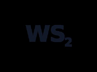 Tungsten Disulfide Nanoparticles (WS2) thumbnail 1