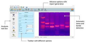 SnapQuant analyzer - Image 2